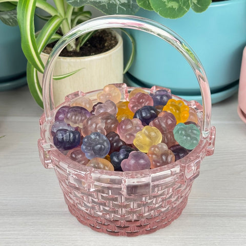 Candy Fluorite Pet Paw 1 - Kenna's Crystals from TikTok