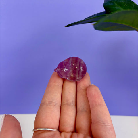 Candy Fluorite Sleeping Kitty