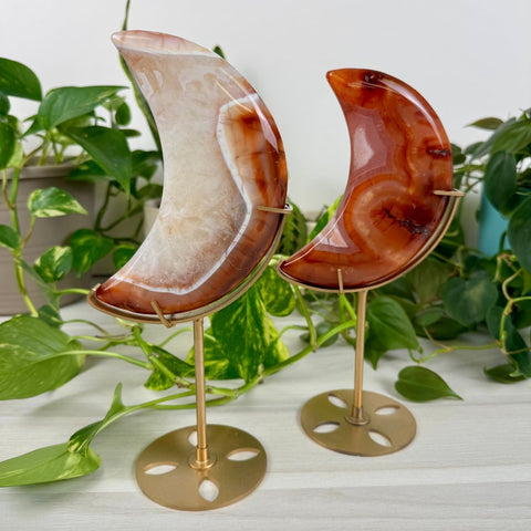 Carnelian Moon (W/ Custom Stand) 122 8 - Kenna's Crystals from TikTok