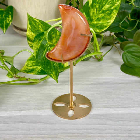 Carnelian Moon (W/ Custom Stand) 44 2 - Kenna's Crystals from TikTok