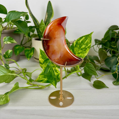 Carnelian Moon (W/ Custom Stand) 88 5 - Kenna's Crystals from TikTok