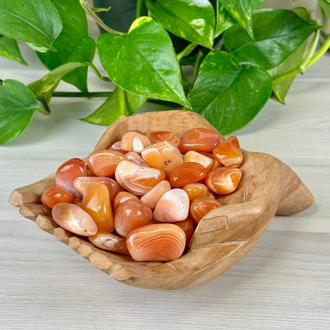 Carnelian Tumble 1 - Kenna's Crystals from TikTok