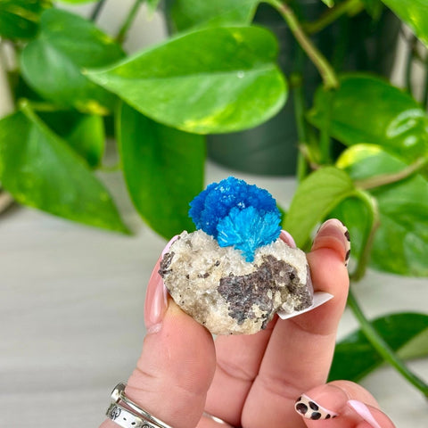 Cavansite Specimen A 1 - Kenna's Crystals from TikTok