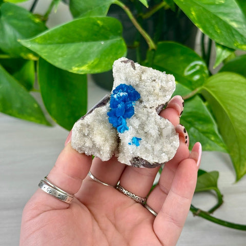 Cavansite Specimen B 2 - Kenna's Crystals from TikTok