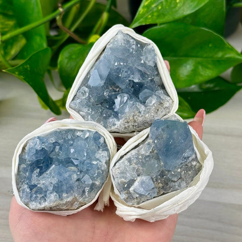 Celestite Cluster 22 2 - Kenna's Crystals from TikTok