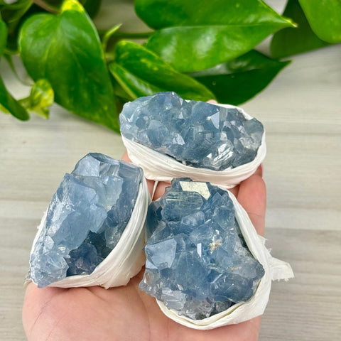 Celestite Cluster 33 1 - Kenna's Crystals from TikTok