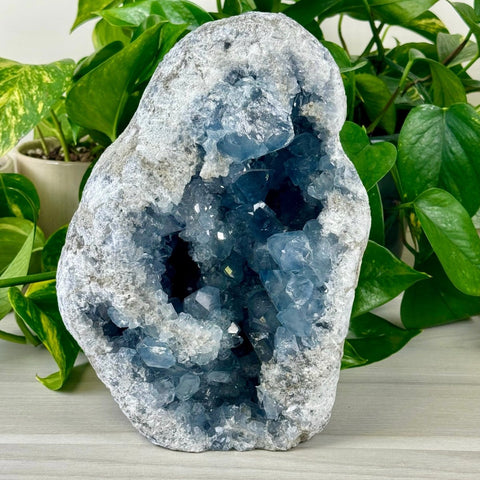 Celestite Geode A 1 - Kenna's Crystals from TikTok