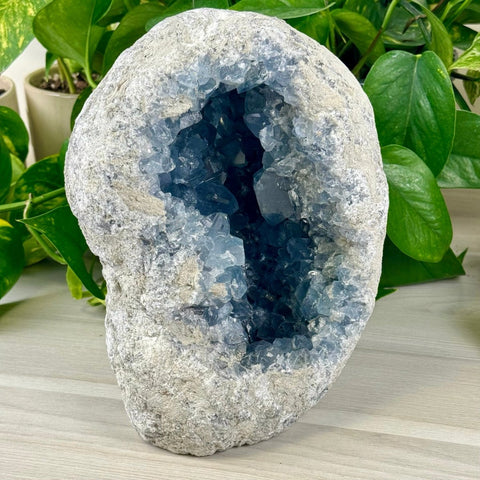 Celestite Geode B 2 - Kenna's Crystals from TikTok