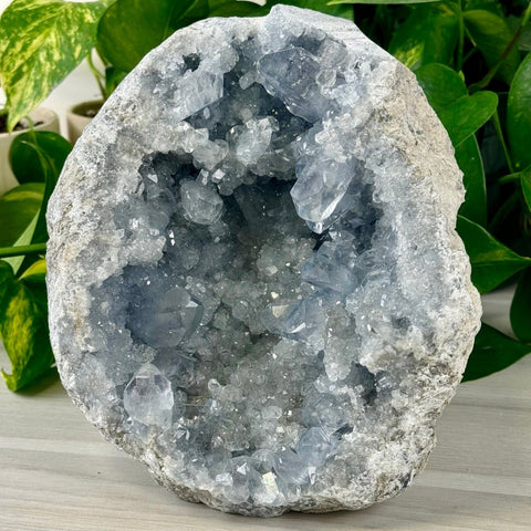 Celestite Geode C 3 - Kenna's Crystals from TikTok