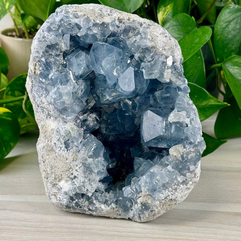 Celestite Geode D 4 - Kenna's Crystals from TikTok
