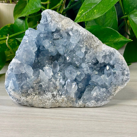 Celestite Geode E 5 - Kenna's Crystals from TikTok