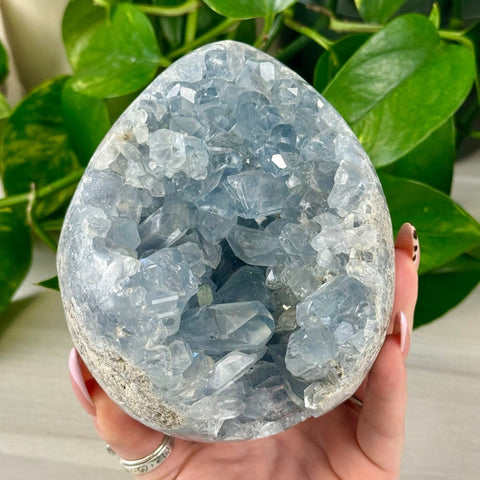 Celestite Geode Egg 215 2 - Kenna's Crystals from TikTok