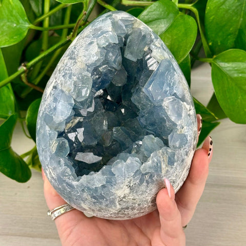 Celestite Geode Egg 233 1 - Kenna's Crystals from TikTok