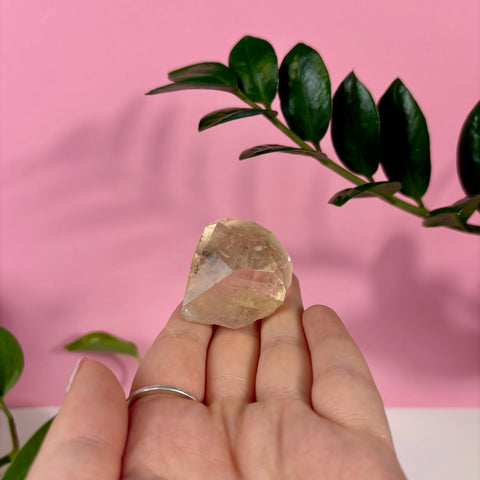 Hand holding a faceted, translucent champagne topaz crystal against a pink background with green leaves.