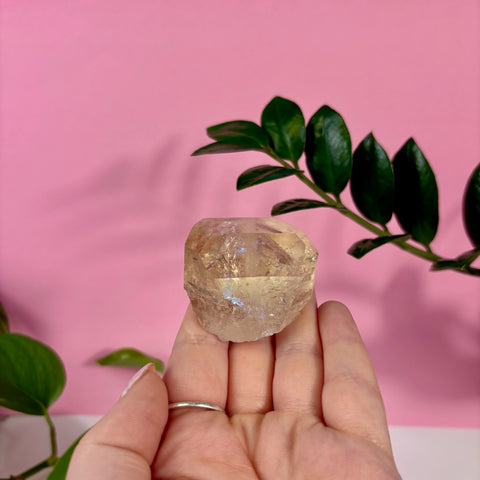 Hand holding a faceted champagne topaz crystal against a pink background with green leaves.
