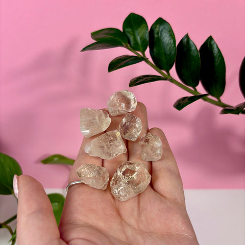 Hand holding several raw, translucent champagne topaz crystals against a pink background with green leaves.