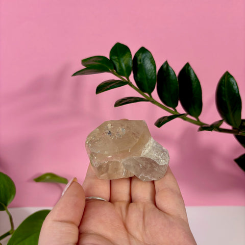 Raw champagne topaz crystal held in a hand against a pink background with green leaves.