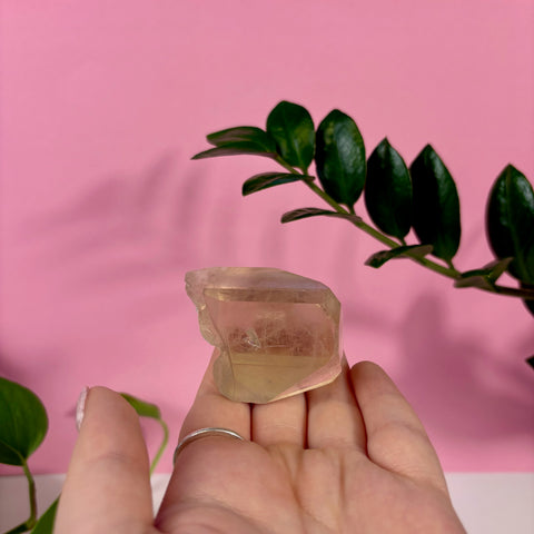 Hand holding a translucent champagne topaz crystal against a pink background with green leaves.