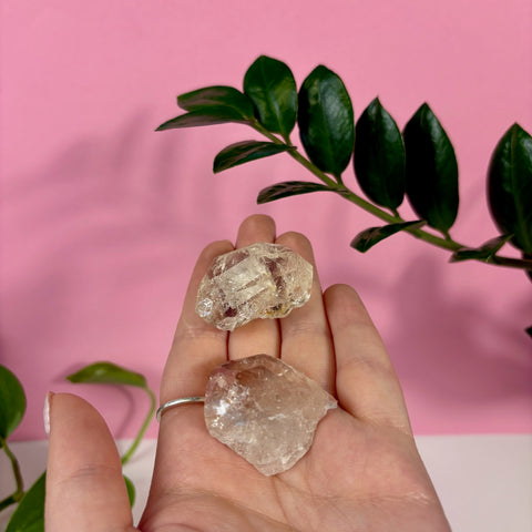 Two raw, translucent champagne topaz crystals held in a palm against a pink background with green leaves.