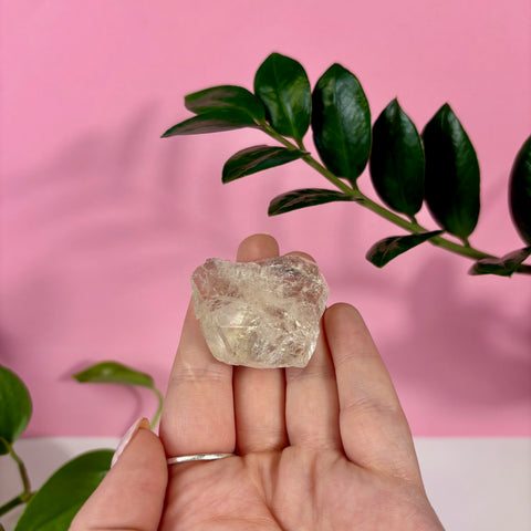 Raw champagne topaz crystal held in a hand against a pink background with green leaves.