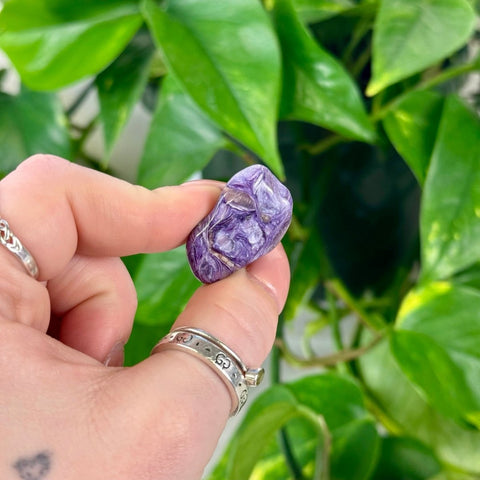 Charoite Tumble 15 (AA) 5 - Kenna's Crystals from TikTok