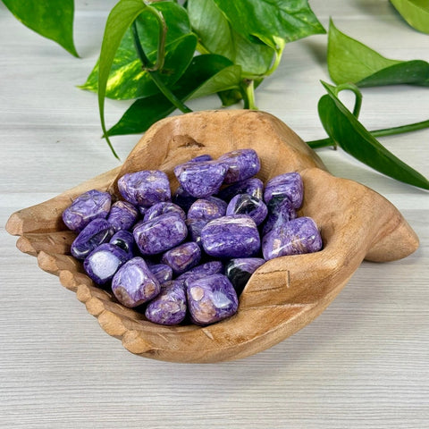 Charoite Tumble 22 (AAA) 1 - Kenna's Crystals from TikTok