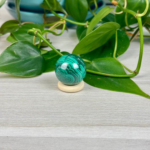 Cheerio Sphere Stands (5 - Pack) 25mm 4 - Kenna's Crystals from TikTok