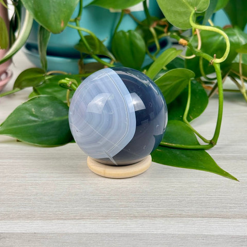 Cheerio Sphere Stands (5 - Pack) 40mm 10 - Kenna's Crystals from TikTok