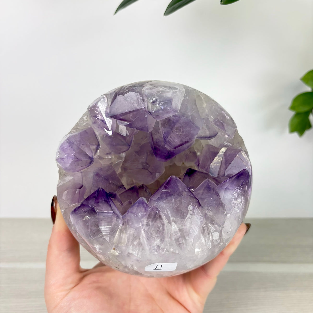 Chomp Balls - Amethyst x Agate – Kenna's Crystals