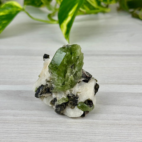 Chrome Diopside On Cookie Dough Specimen 115 7 - Kenna's Crystals from TikTok