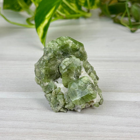 Chrome Diopside On Cookie Dough Specimen 120 6 - Kenna's Crystals from TikTok