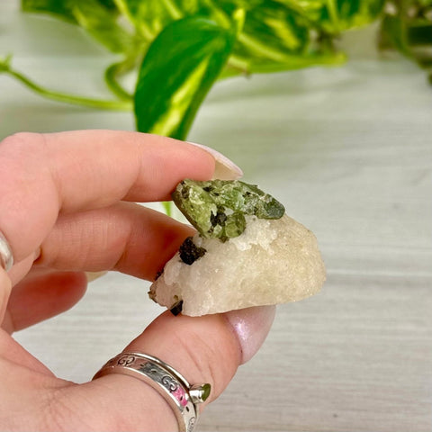 Chrome Diopside On Cookie Dough Specimen 22 15 - Kenna's Crystals from TikTok