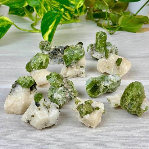 Chrome Diopside On Cookie Dough Specimen 55 12 - Kenna's Crystals from TikTok