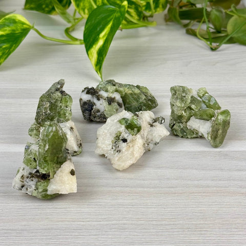 Chrome Diopside On Cookie Dough Specimen 66 11 - Kenna's Crystals from TikTok