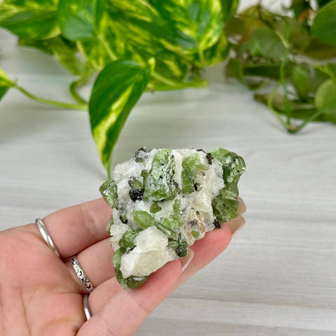 Chrome Diopside On Cookie Dough Specimen 99 8 - Kenna's Crystals from TikTok