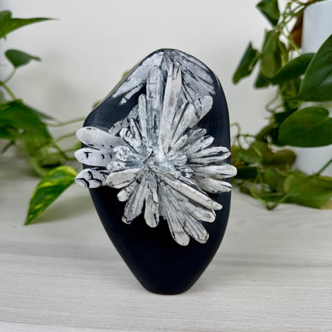 Chrysanthemum Stone Free Form H 8 - Kenna's Crystals from TikTok