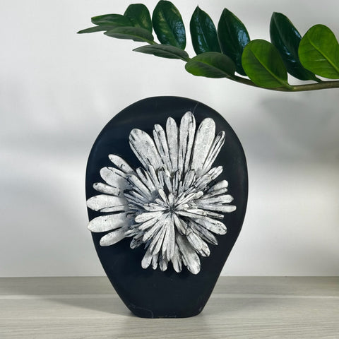 Black Chrysanthemum Stone Free Form, variant B2, with striking white crystal flower patterns.