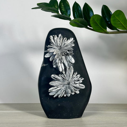 Large black Chrysanthemum Stone free form with two white flower patterns.
