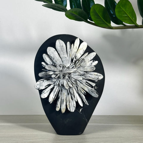 Black Chrysanthemum Stone free form with white crystal flower-like patterns.