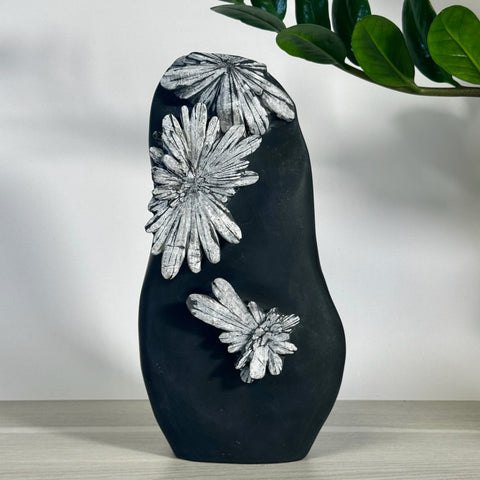 Black chrysanthemum stone free form with white floral patterns.
