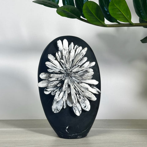 Black chrysanthemum stone free form with white floral crystal pattern.