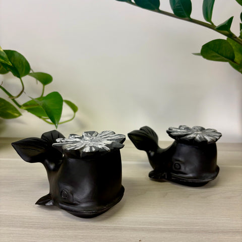 Chrysanthemum Whale