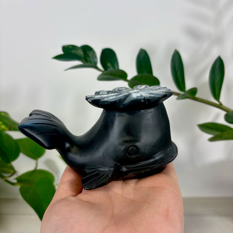 Chrysanthemum Whale