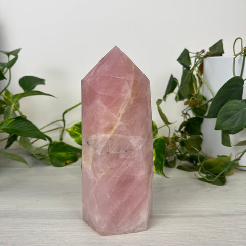 Chunky Imperfect XL Rose Quartz Tower 599 4 - Kenna's Crystals from TikTok