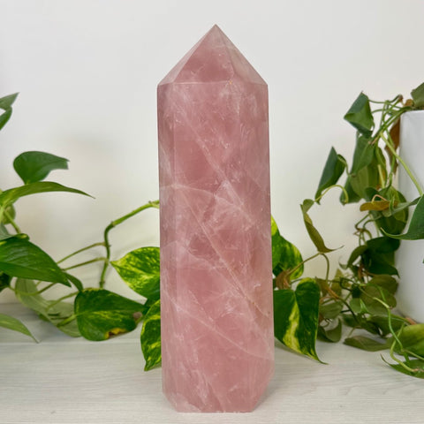 Chunky Imperfect XL Rose Quartz Tower 611 5 - Kenna's Crystals from TikTok