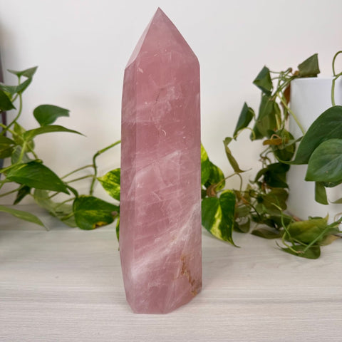 Chunky Imperfect XL Rose Quartz Tower 644 7 - Kenna's Crystals from TikTok