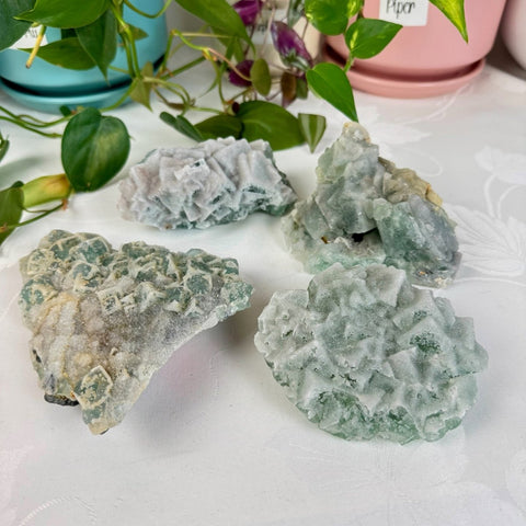 Clear - Out Sugar Fluorite 125 42 - Kenna's Crystals from TikTok