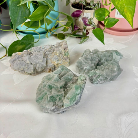 Clear - Out Sugar Fluorite 185 39 - Kenna's Crystals from TikTok