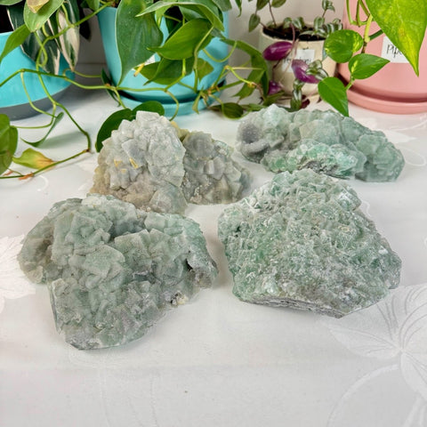 Clear - Out Sugar Fluorite 265 34 - Kenna's Crystals from TikTok