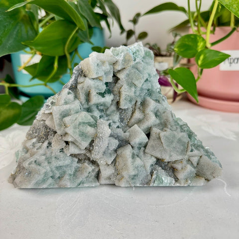 Clear - Out Sugar Fluorite 275 33 - Kenna's Crystals from TikTok